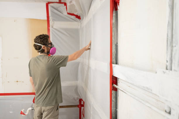 Professional Mold Removal in Bartlesville, OK